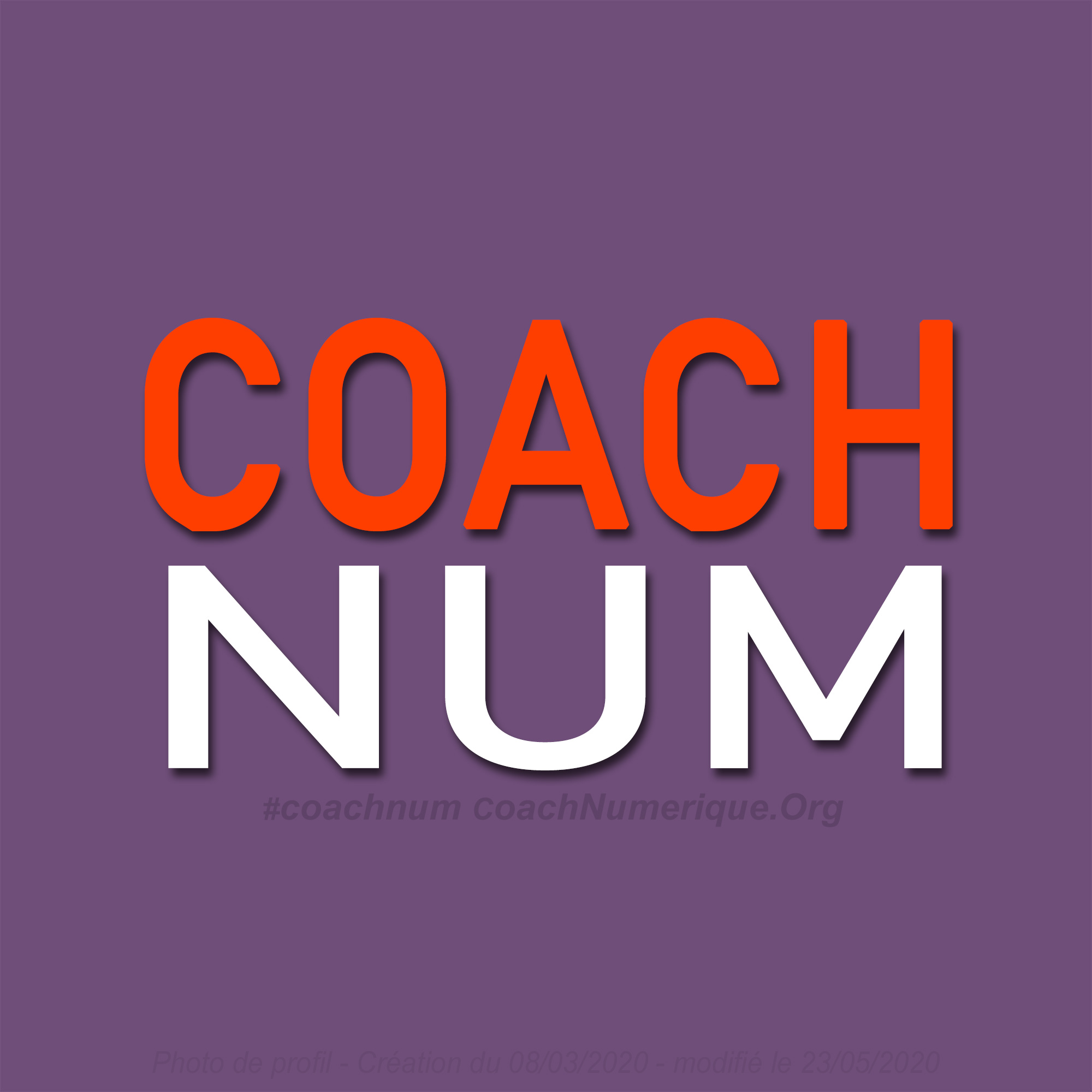 Coach Numerique Mauve